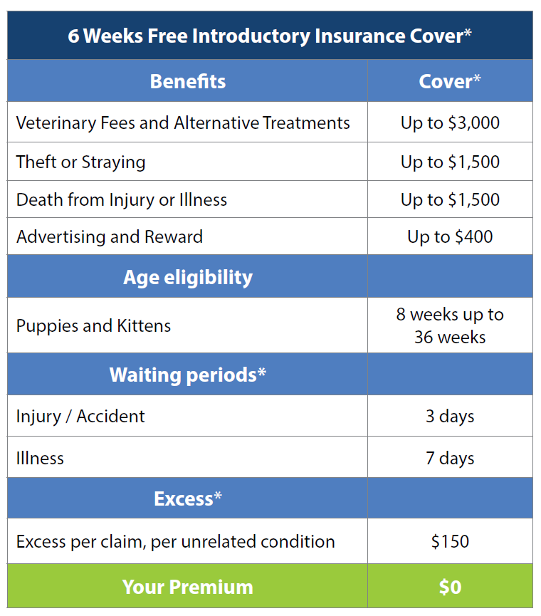 Bengal Pet Insurance Cover