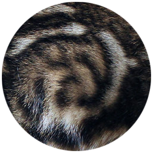 Marble Bengal Pattern