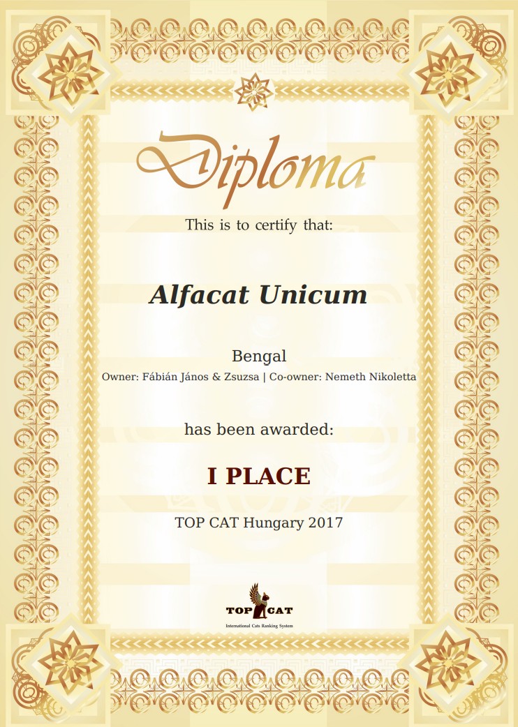 Top Cat Hungry Alfacat Unicum