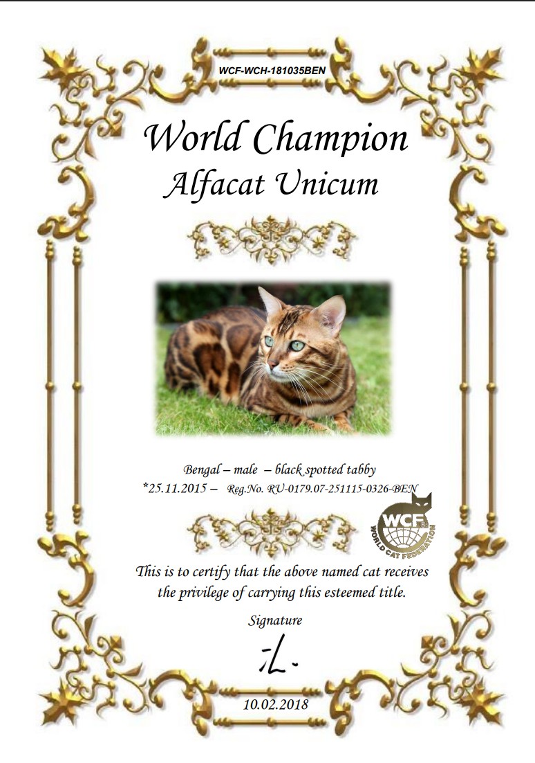World CH Alfact Unicum