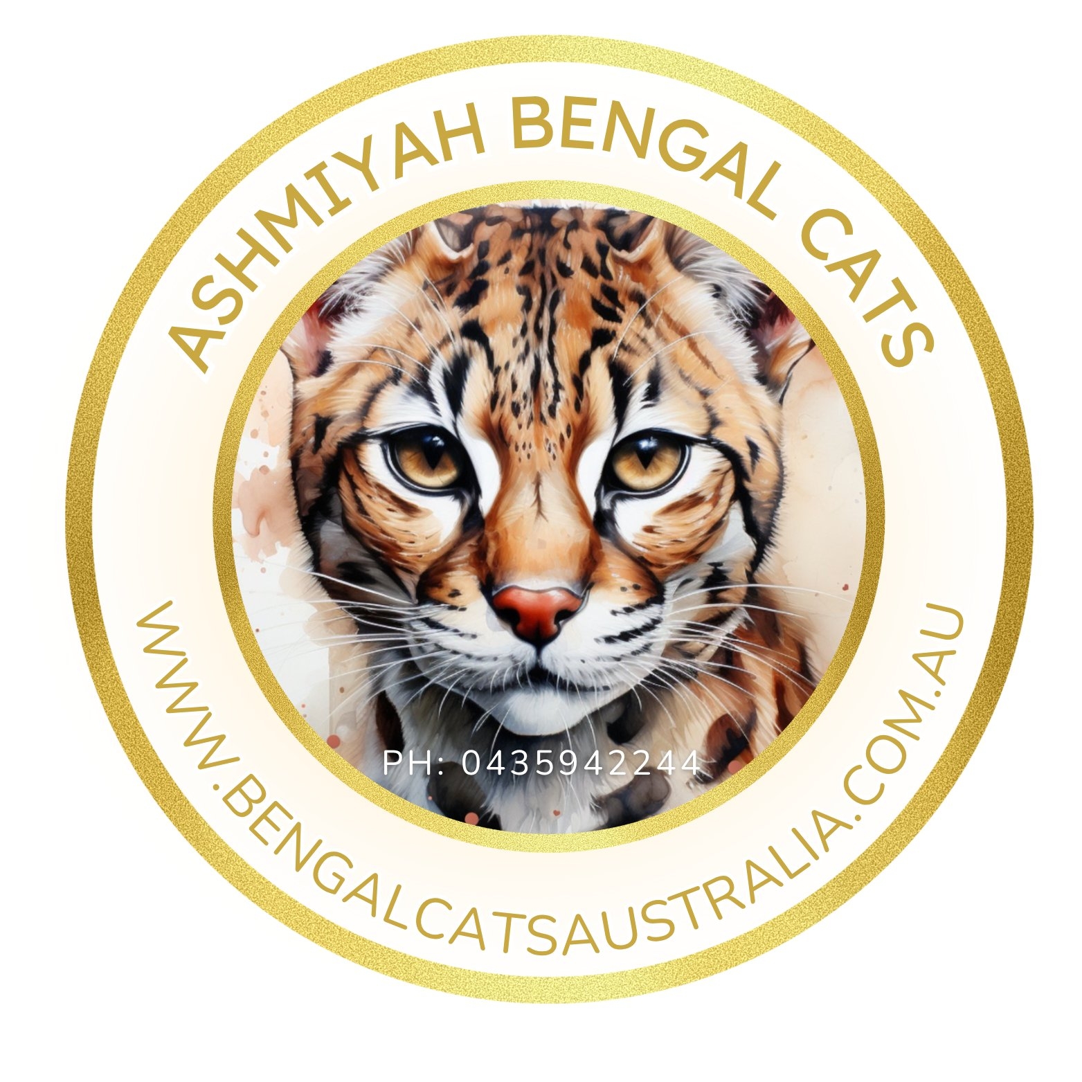 Ashmiyah Bengal Cats