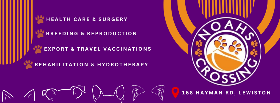 Noahs Crossing Vet Clinic